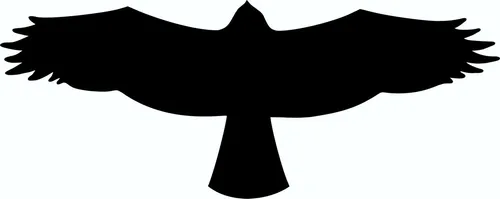 Aufkleber Vögel schwarz 2 Stück je 115 x 290 mm Sticker Tattoo Auto
