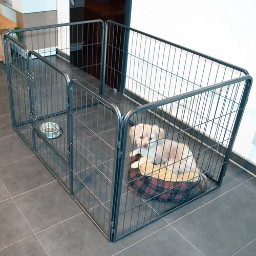 zooprinz erstklassiges Freilaufgehege für Hunde - Stabil und flexibel für drinnen und draußen - Hundelaufstall aus hochwertigem Metall, ideal für Welpen und große Hunde. Wähle aus 4 Höhen und genieße schnellen Aufbau sowie platzsparende Faltbarkeit.