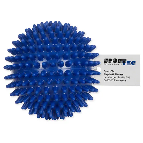 Igelball Massageball Reflexzonen Massage Selbstmassage mittel 10 cm blau