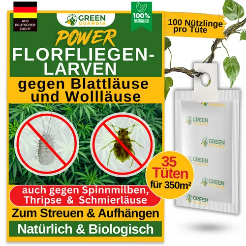 Florfliegenlarven gegen Blattläuse & Wollläuse-35Tüte(350m²),Cannabis & Pflanzen
