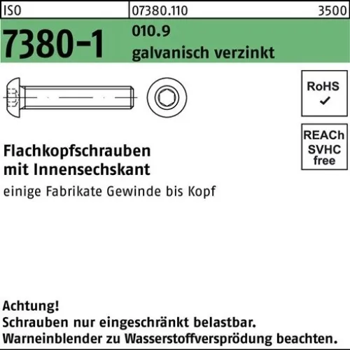 200er PACK(Stk) 007380101010080018 Flachkopfschraube ISO 7380-1 m.Innensechskan