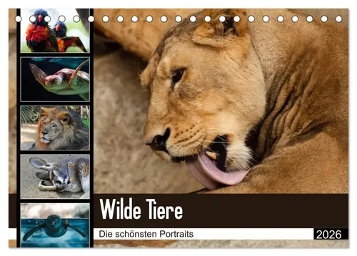 Sylke Enderlein - Bethari Bengals | Wilde Tiere - Die schönsten Portraits...