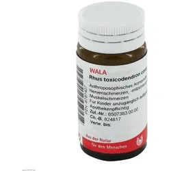 Rhus Toxicodendron Comp 20 G - Anthroposophisches Arzneimittel zur Harmonisierung der Empfindungsorganisation bei Nervenschmerzen und Muskelschmerzen. Ideal für eine sanfte Unterstützung des Bewegungsapparates.