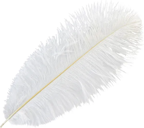 Deko Straußenfedern Weiß 38-40cm 2St – Echte Vogelfeder für Tischdeko, Federschmuck, 2 Stück