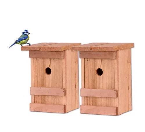 BigDean Vogelhaus 2x Meisennistkasten - Massivholz für kleine Singvögel - Tierhäuser: 2 Nistkästen aus imprägniertem Massivholz, ideal für Blaumeisen und Tannenmeisen. Unterstützen Sie die heimische Tierwelt und genießen Sie das Beobachten der Vögel.