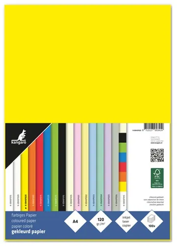 kangaro Multifunktionspapier DIN A4 120 g/qm gelb 100 Blatt in gelb von Kangaro