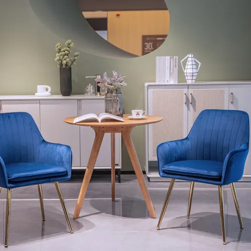 okwish 2er-Set Essstuhl mit Armlehnen, eleganter Küchenstuhl in Blau