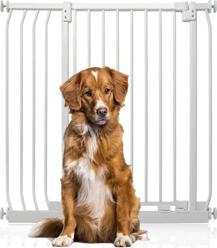 Bettacare Extra Tall Elite Hundegitter, 89cm - 98cm, Weiß