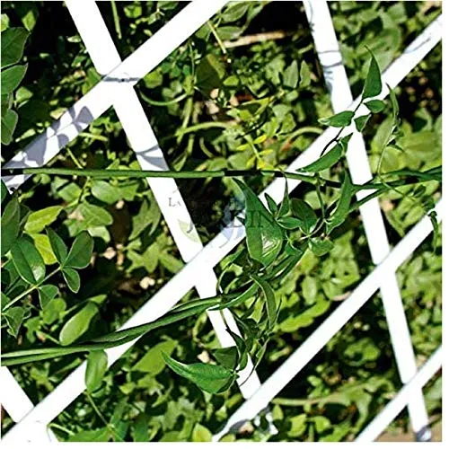 Bögen, Gitter, Laubengänge & Pergolen Weiß von Suinga