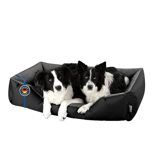 BedDog Hundebett LUPI (XXL) - Waschbar und Komfortabel - Hundebetten - BedDog® LUPI bietet großen Komfort für kleine und große Hunde mit waschbarem Bezug und robustem, gelenkschonendem Liegekissen für erholsamen Schlaf.
