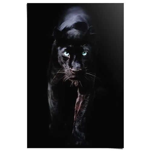Produktbild REINDERS Poster, Black Panther, Schlafzimmer, Poster, Wanddeko, Room Decor, Bilderdruckpapier, Schwarz, 91,5 x 61