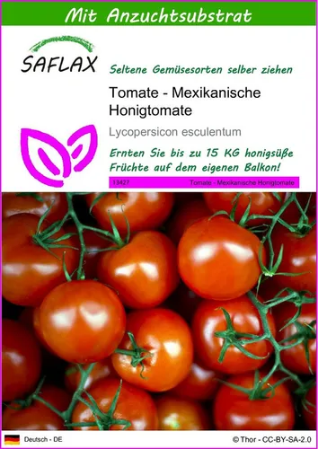 SAFLAX Gemüsesamen SAFLAX - Samen und Substrat - Tomate - Mexikanische Honigtomate