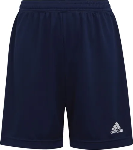 adidas Shorts von adidas