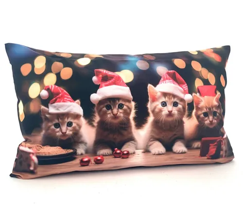 heimtexland Dekokissen Weihnachten Kissenhülle Chalet Landhaus Deko Kissen Vichy Karo Typ652, Deko Kissen I 30x50 I Geschenk I kuschelig weich