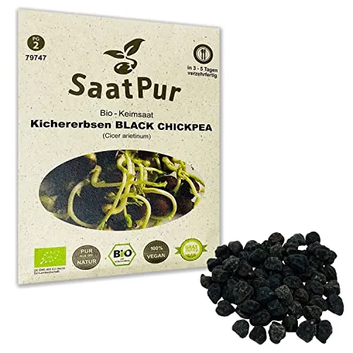 Black Chickpea BIO Keimsprossen von SaatPur - Kichererbsen Sprossen, Microgreens - 50g