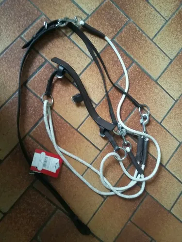 Gogue DMS  braun  WB NEU