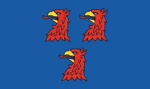 Flagge / Fahne Pasewalk Hissflagge 90 x 150 cm