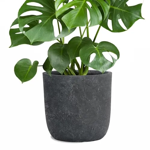 Pflanzwerk® Pflanzkübel Cup - Blumentöpfe Ø27cm Lava ANTHRAZIT - Hochwertiger Pflanzkübel für drinnen und draußen, frostbeständig und mit UV-Schutz. Ideal für ein optimales Pflanzergebnis und langlebige Nutzung. Durchmesser: 27cm, Gewicht: ca. 3kg.