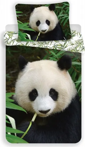 JF Kinder-Bettwäsche-Set Panda-Bär-Motiv 140x200 cm in weiß von Jerry Fabrics