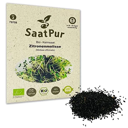 Zitronenmelisse BIO Keimsprossen von SaatPur - Keimsaat für die Sprossenzucht zuhause - 5g