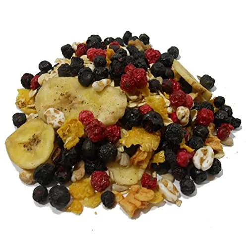 BIO BLAUBEER MÜSLI I 7% gefriergetrocknete Blaubeeren I Wildheidelbeeren I ohne Zuckerzusatz (enthält von Natur aus Zucker) I Vegan I Walnüsse I 600g