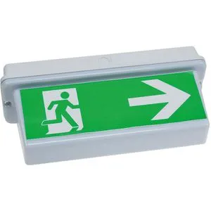 ChiliTec Notleuchte NL-D2 - LED Akku mit IP65 Schutz - Sicherheitsbeleuchtung mit 3h Notlichtdauer bei Stromausfall, ideal für Deckenmontage. Inkl. 4 selbstklebender Richtungsetiketten für optimale Orientierung.