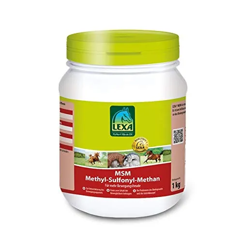 MSM (Methyl Sulfonyl Methan) 1 kg Dose - Gelenke, Muskeln & Knochen – Hochwertige organische Schwefelverbindung zur Unterstützung des Bindegewebes, ideal für Sportler und aktive Menschen.