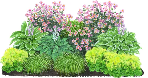 Dehner Bio Stauden-Set Schattengarten – 12 schattenliebende Pflanzen für Ihren Garten