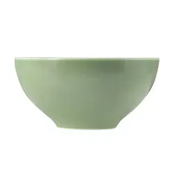 Seltmann Weiden Beat Schüssel 15,5cm - Modernes Porzellan in Salbeigrün, spülmaschinenfest und stilvoll für jeden Tisch