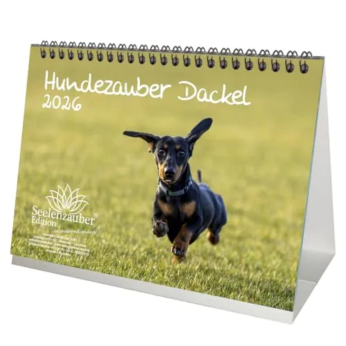 Hundezauber Dackel DIN A5 Tischkalender für 2026 Welpen und Hunde - Seelenzauber
