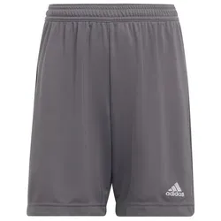 adidas Unisex Kinder Entrada 22 Shorts, Team Grey Four, 13-14 Years