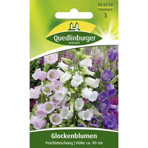 Glockenblume, Prachtmischung