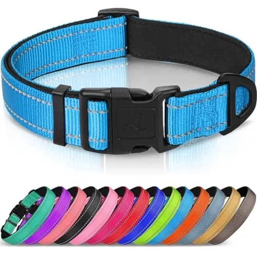 Joytale Halsband Hund, Gepolstertes Hundehalsband Breit aus Neopren Nylon Hundehalsband Verstellbar für Mittelgroße Hunde, Weich und Reflektierend Hundehalsbänder, M, Blau