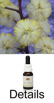 Produktbild SUNSHINE WATTLE Buschblüten Australian Bush Flower Essences / Love Remedies