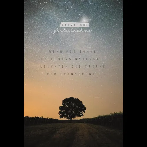 Trauer – Beileid – Kondolenz - Trauerkarte im Format 11,5 x 17 cm mit Umschlag -