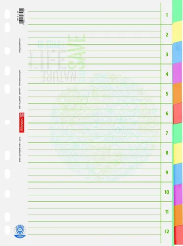 BRUNNEN Ordnerregister Vollformat blanko DIN A4 1066577