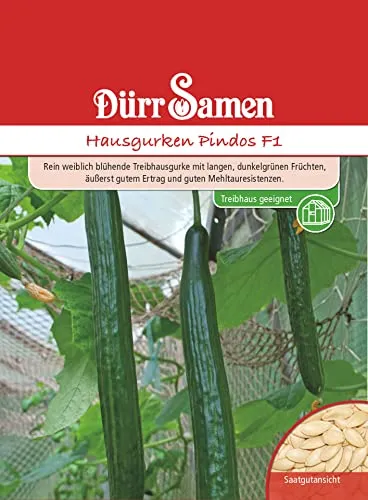 Dürr-Samen - Hausgurken Pindos F1 Saatgut