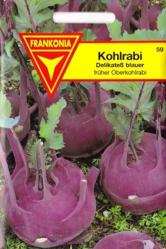 Kohlrabi, blauer Delikateß, ca. 150 Samen