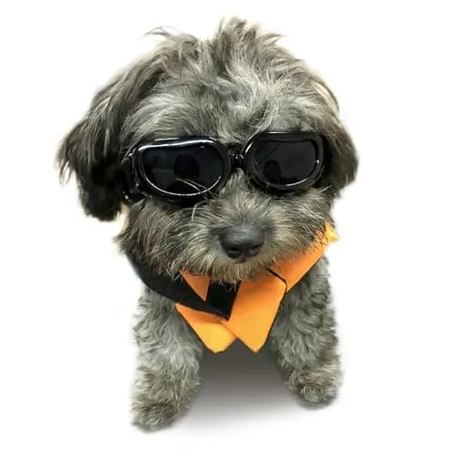 Enjoying Hundebrille für kleine Hunde, UV-Schutz Hund Sonnenbrille kleine Rasse, Welpenbrillen für Fahren, Winddichte staubdichte Anti-Nebel, verstellbare, schwarz