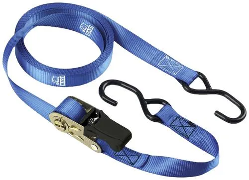 Basi 0004-0309 Spanngurt (L x B) 5000mm x 25mm Ratsche