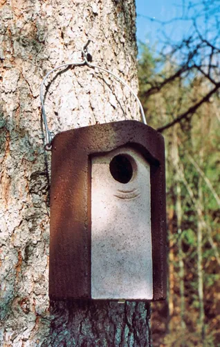 Schwegler Starenhöhle 3S - Ideal für Stare - Vogelhaus für Stare, mit einem Flugloch von Ø 45 mm und einem großzügigen Brutraum von Ø 14 cm. Perfekt für den Naturschutz und die Förderung der Vogelpopulation.