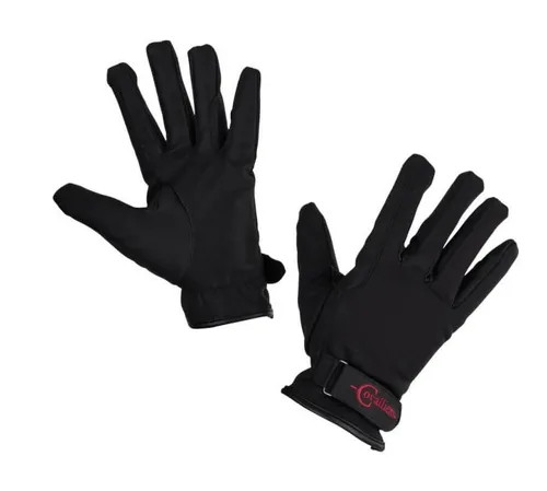 Covalliero Winterhandschuh Malmö Reithandschuhe gefüttert Winter Größe M J4