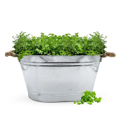 Zink Blumen Wanne mit Kordel Griff - 52x37 cm - Garten Deko Kübel Pflanz Schale