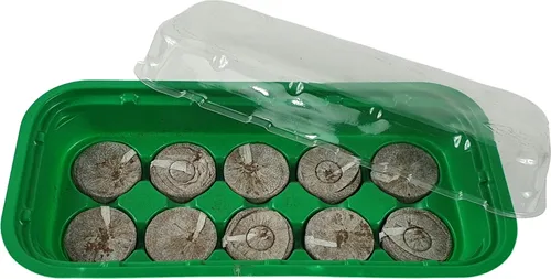 Sesua Anzuchtset inkl. 10 Quelltabs Quelltabletten Zimmergewächshaus Treibhaus Aufzucht