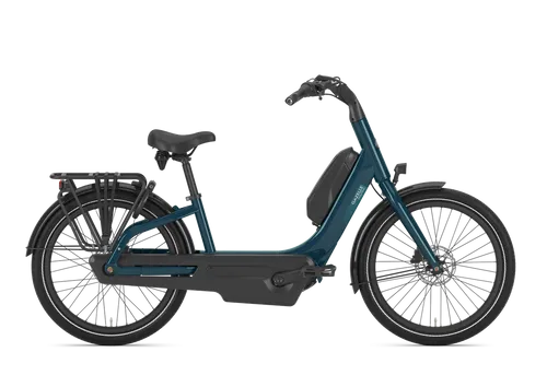 Gazelle E-Bike easyflow C7 Low-Step 46 pine green glänzend von Gazelle