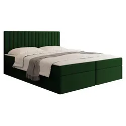 MIRJAN24 Boxspringbett Tirulo 160x200 cm mit Bettkästen - Grün - Hochwertiges Boxspringbett Tirulo mit zwei praktischen Bettkästen für zusätzlichen Stauraum. Ideal für ein gemütliches Schlafzimmer, inklusive komfortablem Topper und pflegeleichter Oberfläche.