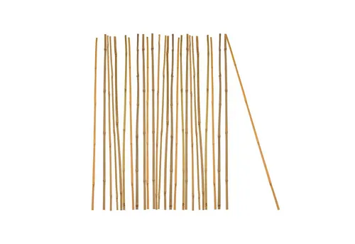 BigDean Ranksäule Pflanzstab Bambusstab 100% Naturprodukt Set, 25 St., Bambusstäbe, 100% Natur, Drinnen & Draußen geeignegt.