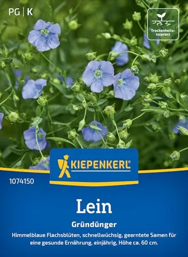Kiepenkerl Lein Blauer Flachs 1074150 - himmelblaue Flachsblüten die schnellwüchsig und einjährig sind - circa 60cm hoch - Wildblumensamen, Blumensamen
