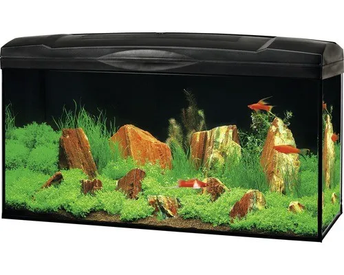 Aquarium Marina Complete 54 mit LED-Beleuchtung und Zubehör