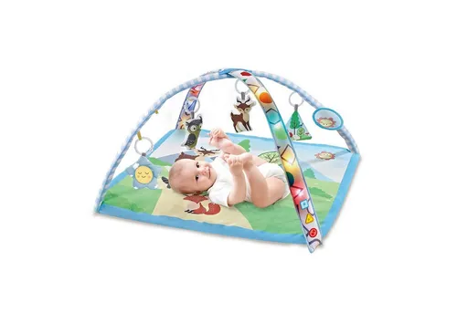 Chipolino Spielbogen Spielbogen Krabbeldecke, Lichter hängende Plüschtiere Melodien Spiegel